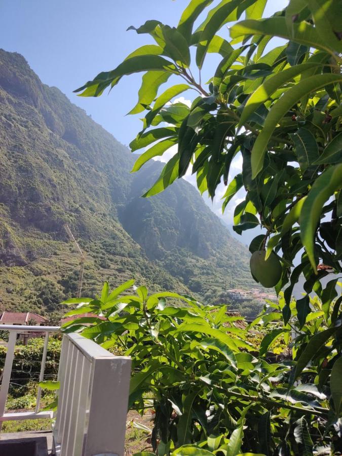 Casa Da Avo Rosa Lejlighed São Vicente Eksteriør billede