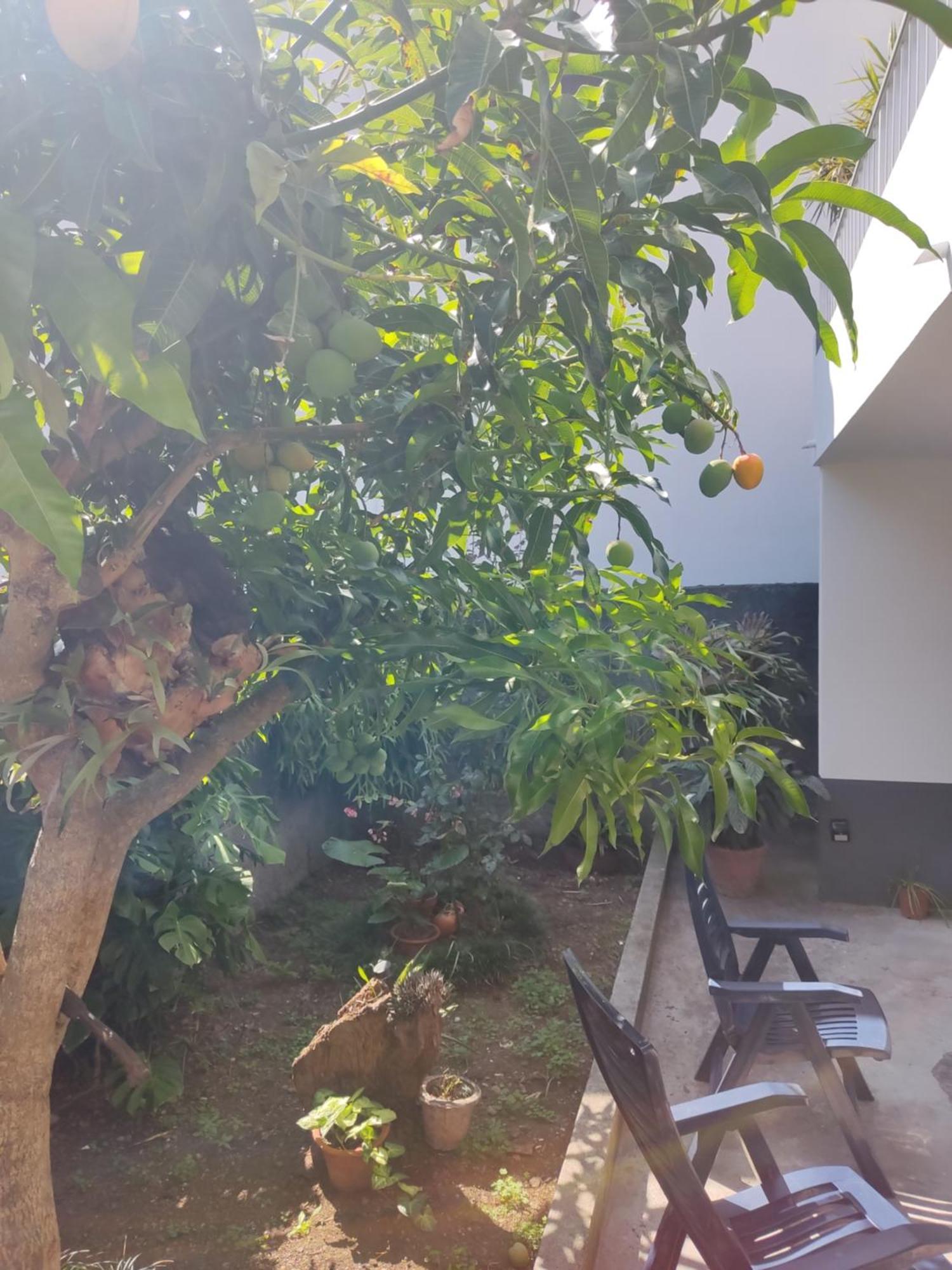 Casa Da Avo Rosa Lejlighed São Vicente Eksteriør billede